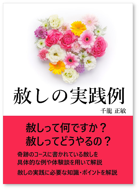 赦しの実践例・表紙